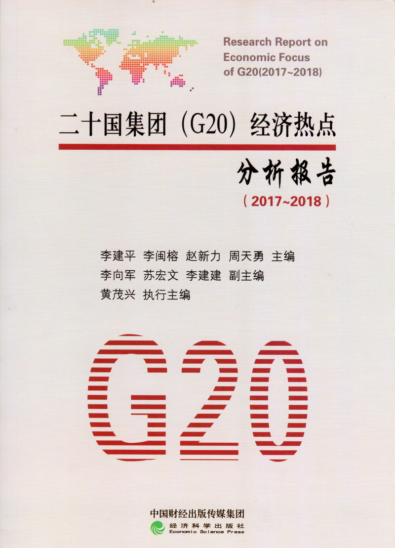 几把艹逼真实网站二十国集团（G20）经济热点分析报告（2017-2018）